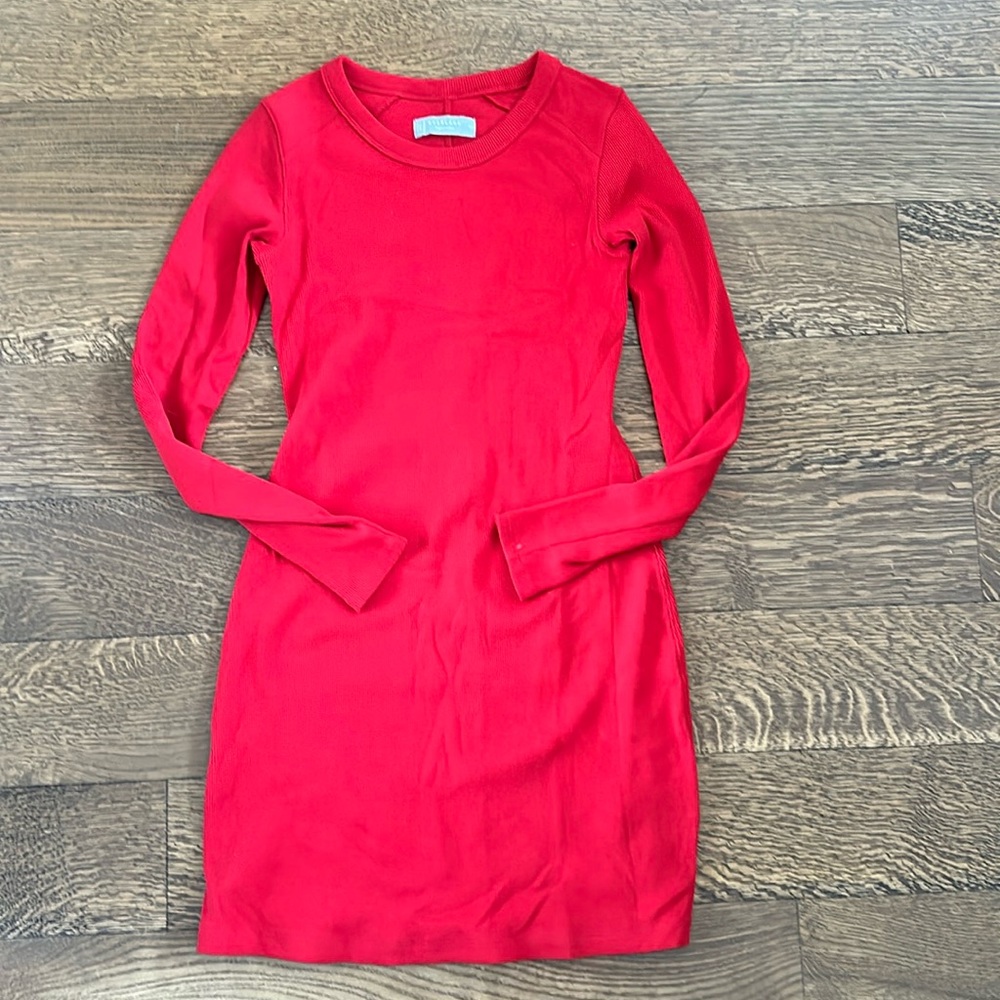 Everlane red ribbed long sleeve mini dress